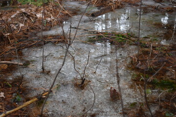 La Plaine 7 Mars 2024