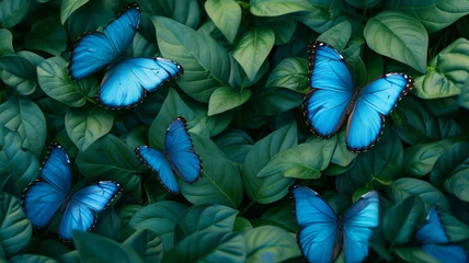  Electric Blue Butterflies Fluttering around Lush Greenery © Jahaan Skindar arts