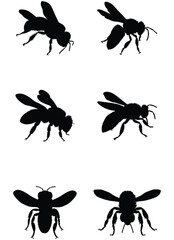bee vector illustration isolated on white background. 
