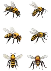Fotobehang bee vector illustration isolated on white background.   © Olivia23