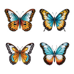 butterlfy vector illustration isolated on white background. 
