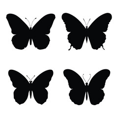butterlfy vector illustration isolated on white background. 
