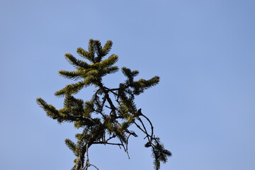 La Plaine 7 Mars 2024