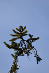 La Plaine 7 Mars 2024