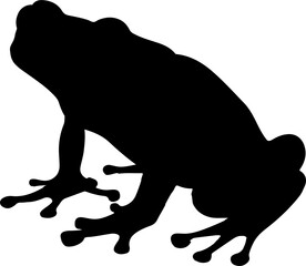 frog illustration isolated on transparent  background. 
