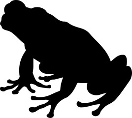 Fototapeta premium frog illustration isolated on transparent background. 