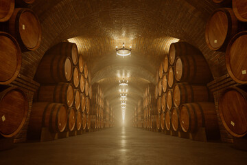 Enigmatic Old World Wine Cellar with Time-Honored Oak Barrels