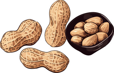 peanut vector illustration isolated on transparent background. 
