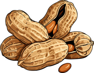 peanut vector illustration isolated on transparent background. 
