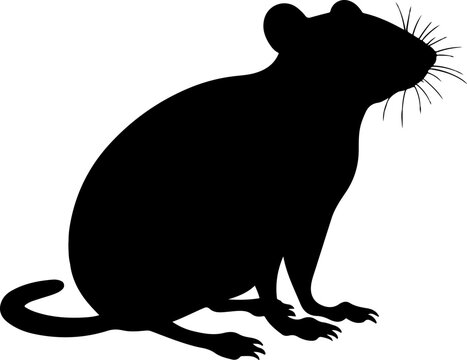rat vector illustration isolated on transparent background. 
