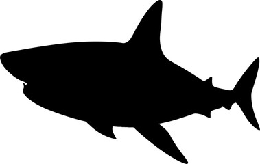 shark illustration isolated on transparent background. 
