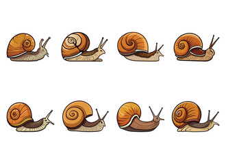 snail vector illustration isolated on white background. 
