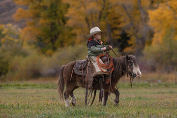 Young cute child cowboy on a pony mini horse