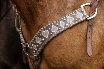 Horse tack breast collar with card suits