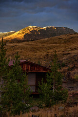 Rustic Cabin in the Colorado WIlderness with alpenglow on mountain