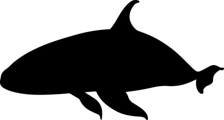 whale vector illustration isolated on transparent background. 

