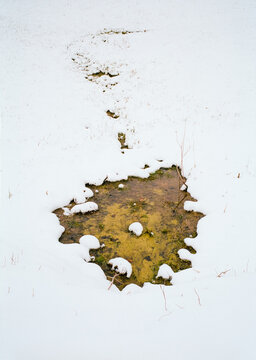 A warm patch of mud exposed through snowy ground