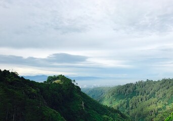 Farmland, West Java, Indonesia