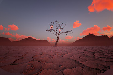 Solitary Tree Silhouetted Against Fiery Sunset in Expansive Desert