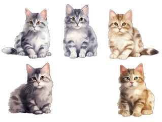 Set of cat isolated on transparent background, transparency image, removed background