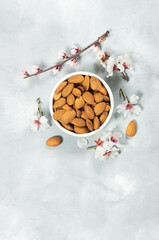 Fresh Raw Sweet almonds in wooden bowl or shovel with almond tree flowers on rustic background, nut, healthy food