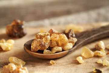 Frankincense resin crystals on a spoon