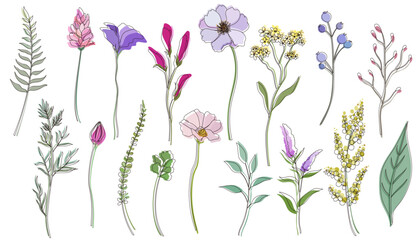 Spring flower and leaf illustration with black line. Simple and flat design botanical flowers vector illustration set.