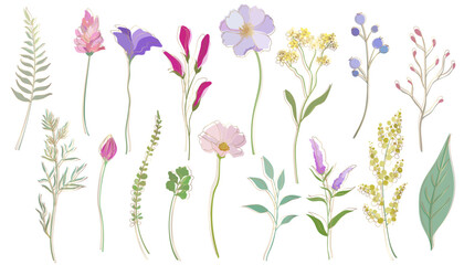 Spring flower and leaf illustration with gold line. Simple and flat design botanical flowers vector illustration set.