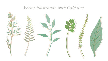 Green leaf illustration with gold line. Simple and flat design botanical leaves vector illustration set.