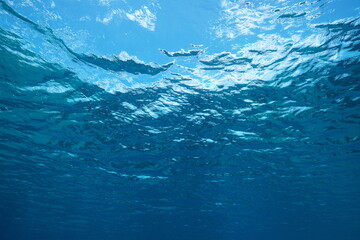 Water surface from underwater in the sea, natural scene, Mediterranean sea, France