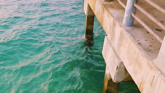 February 1, 2024 - Rawai, Phuket Thailand. Gentle waters lap against the legs under the landing pier.
