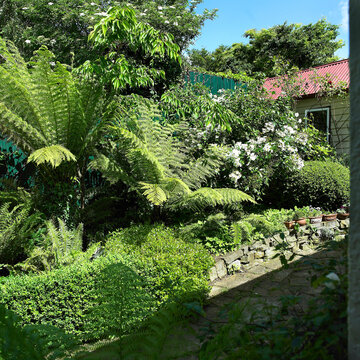 View of a suburban backyard garden