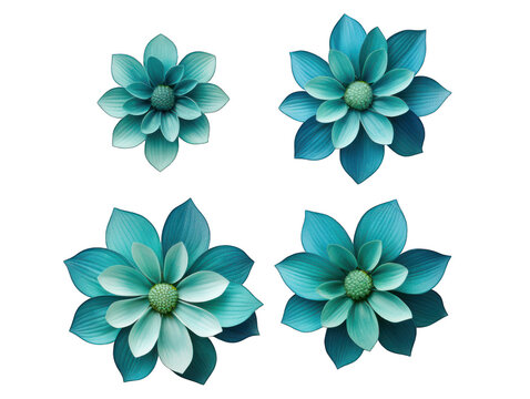 Set of turquoise flower isolated on transparent background, transparency image, removed background