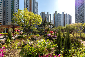 Fototapeta premium 다양한 식물과 작은 연못이 있는 아파트 단지의 정원, 충북 청주시 소재-Garden of an apartment complex with various plants and a small pond, located in Cheongju, Chungbuk, South Korea
