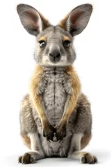 Foto op Aluminium Lively Kangaroo with Playful Facial Expressions, To provide a fun and engaging image of a kangaroo for use in design projects, advertising, © Mayuree