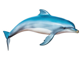dolphin isolated on transparent background, transparency image, removed background