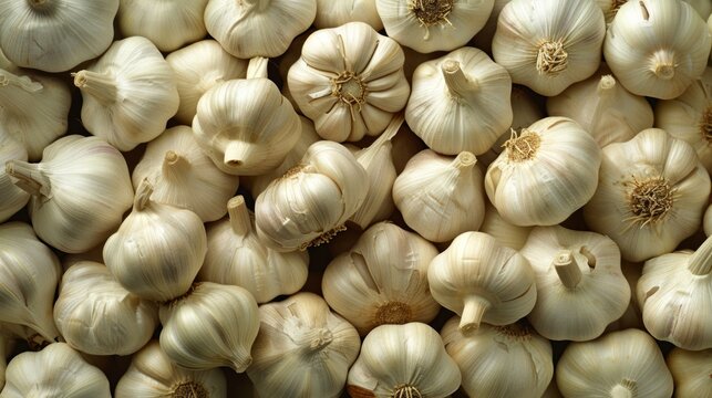Garlic head background It conjures up images of rustic kitchens and delicious home-cooked meals. Fascinating scenes and the simple joy of cooking with healthy ingredients.