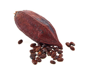 Cocoa beans with cocoa pod isolated on white background