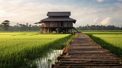 Foto op Canvas Rice fields in the countryside at sunset with wooden houses © andri