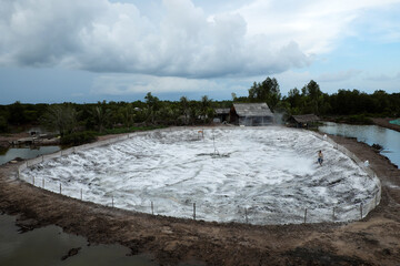 Worker apply agricultural limestone to neautralize soil acidity