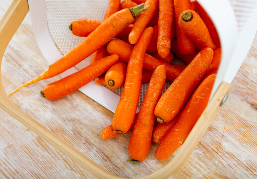 Fresh whole carrots, poured out of a bucket on a wooden table. Close-up image