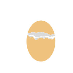 Chicken Egg Shell 