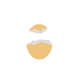 Chicken Egg Shell 