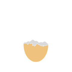Chicken Egg Shell 