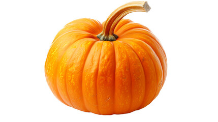 Pumpkin isolated on white transparent background