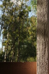bosque en otoño, pared vintage, arboles