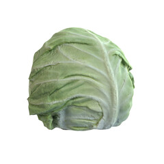 cabbage isolated on transparent background