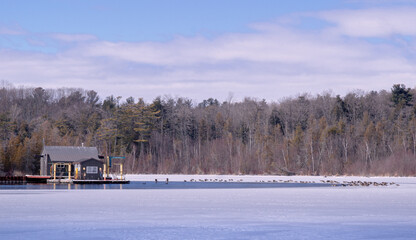 Winter landscape view of a frozen lake with an unfrozen opening around a house with a pier and ducks sitting at the water's edge against a background of colorless bare forest trees under an overcast