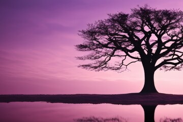 lone tree in a lavender field at sunset with mountains