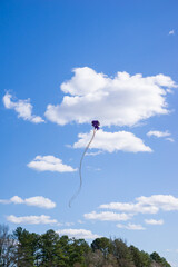 Background of a kite flying on the sky. Flying a kite is common outdoor activity during summer....